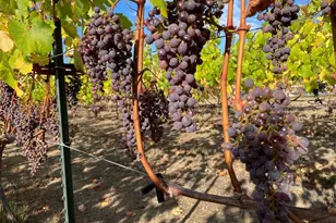 1673 Woodland Dr, Port Townsend, WA 98368 - Photo 33