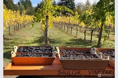 1673 Woodland Drive, Port Townsend, WA 98368 - Photo 39