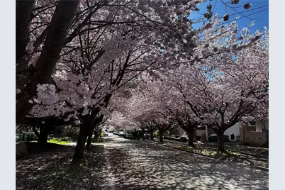 6725 Earl Avenue NW, Seattle, WA 98117 - Photo 35