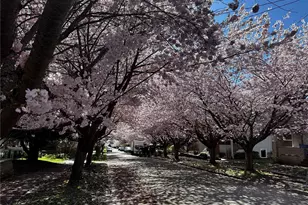 6725 Earl Ave NW, Seattle, WA 98117 - Photo 35