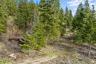 0 Xxx Game Trail Rd, Cle Elum, WA 98922 - Photo 1