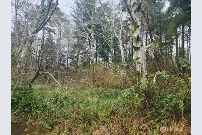 670 Weatherwax Loop NE, Ocean Shores, WA 98569 - Photo 5