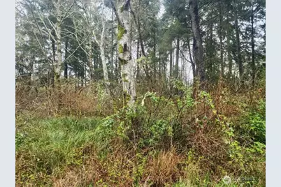 670 Weatherwax Loop NE, Ocean Shores, WA 98569 - Photo 3