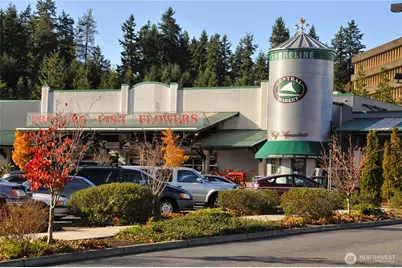 725 N 198th Street, Shoreline, WA 98133 - Photo 39