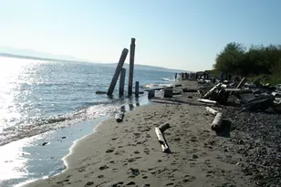 725 N 198th St, Shoreline, WA 98133 - Photo 37