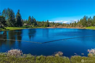 101 E Lake Forest Dr, Allyn, WA 98524 - Photo 27