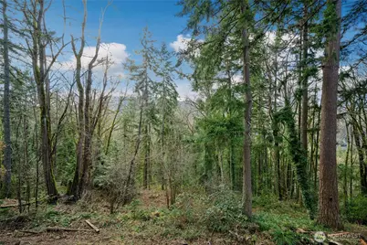 145 Mt Pilchuck Avenue SW, Issaquah, WA 98027 - Photo 29