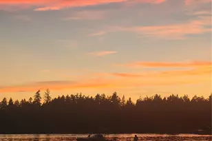 16719 14th Ave Ct S, Spanaway, WA 98387 - Photo 31