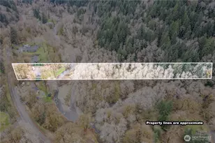 1955 Abernathy Creek Rd, Longview, WA 98632 - Photo 39