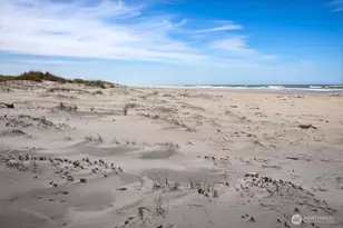 201 24th St NE, Long Beach, WA 98631 - Photo 37