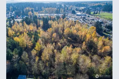 10313 136th Street E, Puyallup, WA 98374 - Photo 11