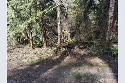 8535 Beaver Place, Marblemount, WA 98267 - Photo 7