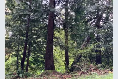 0 D Street, Bellingham, WA 98225 - Photo 3