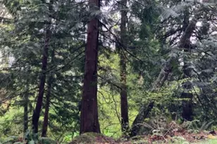 0 D St, Bellingham, WA 98225 - Photo 1