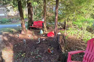 44832 Kloshe Chuck Trl, Concrete, WA 98237 - Photo 17