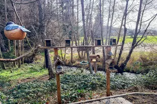 40 Glen Ave, Chimacum, WA 98325 - Photo 37