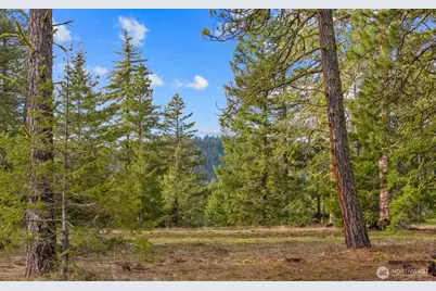 20 Wanawish Loop, Cle Elum, WA 98922 - Photo 13