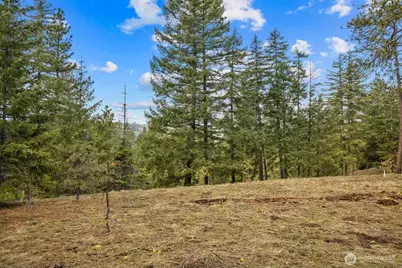 20 Wanawish Loop, Cle Elum, WA 98922 - Photo 11