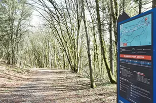 7713 Zircon Dr SW, Lakewood, WA 98498 - Photo 33