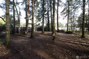 1520 E Shelton Springs Rd, Shelton, WA 98584 - Photo 29