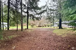 11 Webb Rd SW, Longbranch, WA 98349 - Photo 17