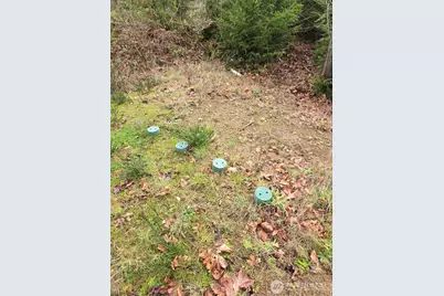 1801 E Crestview Drive, Shelton, WA 98584 - Photo 7