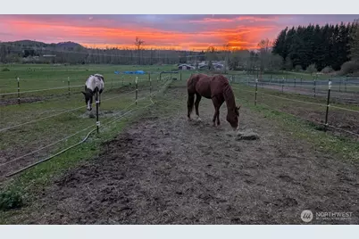5334 Tenneson Road, Sedro Woolley, WA 98284 - Photo 39