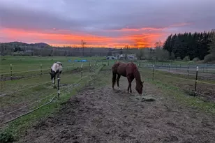 5334 Tenneson Rd, Sedro Woolley, WA 98284 - Photo 39
