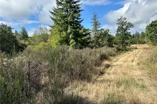 0 Dannie Womer Ln, Oakville, WA 98568 - Photo 1