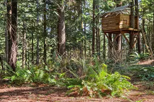 31408 SE Retreat Kanaskat Rd, Ravensdale, WA 98051 - Photo 39