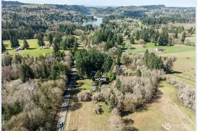 425 Winston Creek Road, Mossyrock, WA 98564 - Photo 3