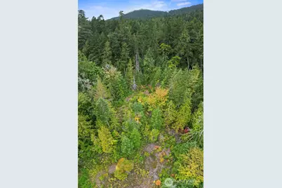 304292 Highway 101, Brinnon, WA 98320 - Photo 27