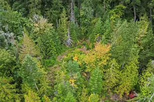 304292 Hwy 101, Brinnon, WA 98320 - Photo 27