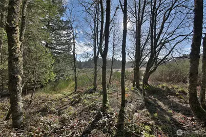 0 Xxx Sr 525 Road, Langley, WA 98260 - Photo 13