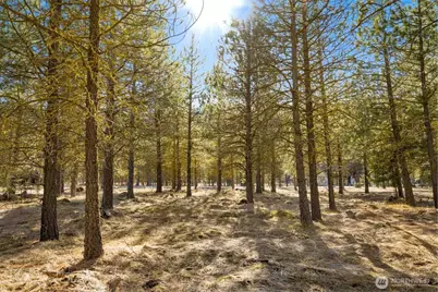 381 Gold Leaf Lane, Cle Elum, WA 98922 - Photo 3