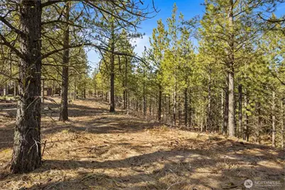 381 Gold Leaf Lane, Cle Elum, WA 98922 - Photo 5