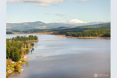 946 Paine Road, Castle Rock, WA 98611 - Photo 39