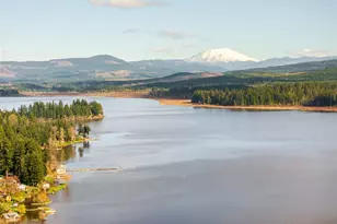 946 Paine Rd, Castle Rock, WA 98611 - Photo 39