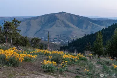 317 Cottontail Lane, Chelan, WA 98816 - Photo 19