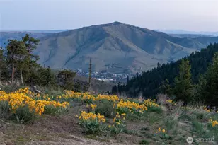 317 Cottontail Ln, Chelan, WA 98816 - Photo 19