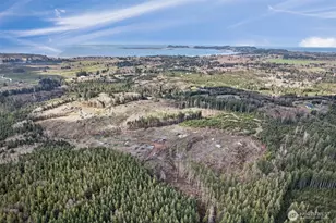 0 Luttrell Ln, Chinook, WA 98614 - Photo 1