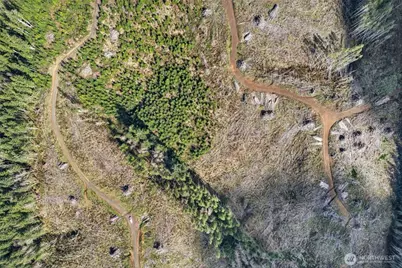 0 Luttrell Lane, Chinook, WA 98614 - Photo 11