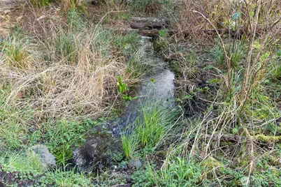 2929 S Fork Road, Raymond, WA 98577 - Photo 29