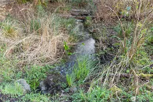 2929 S Fork Rd, Raymond, WA 98577 - Photo 29