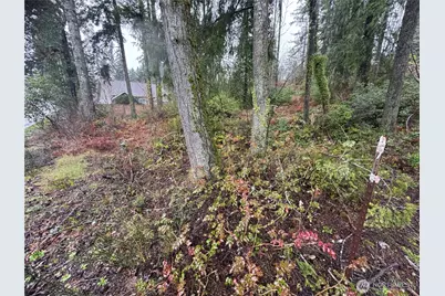 0 E Tall Timber Lane, Shelton, WA 98584 - Photo 7