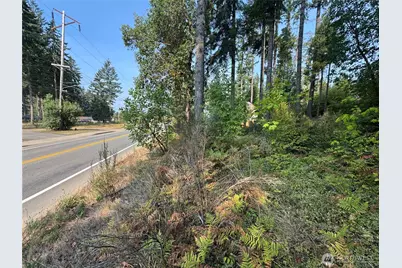 0 E Tall Timber Lane, Shelton, WA 98584 - Photo 11