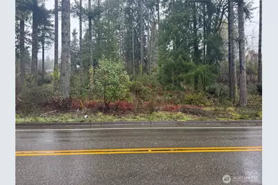 0 E Tall Timber Lane, Shelton, WA 98584 - Photo 9