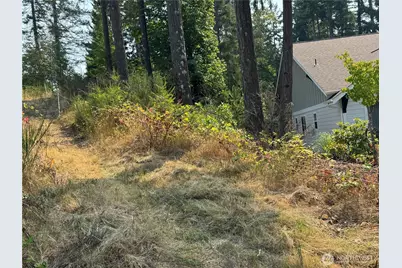 0 E Tall Timber Lane, Shelton, WA 98584 - Photo 3