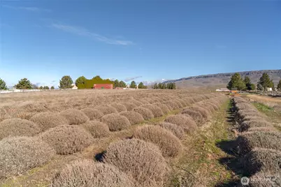 980 S Webb Place, East Wenatchee, WA 98802 - Photo 39