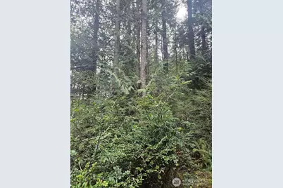 2277 Big Timber Place SE, Port Orchard, WA 98367 - Photo 31